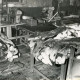 ARH Slg. Bartling 4508, Ausgebrannte Näherei mit Nähmaschinen und Pelzmänteln nach einem Großbrand, Laderholz