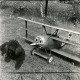 ARH Slg. Bartling 4585, Vorstellung des Dreideckers Focker DR 1 (von Richthofen) der Flugzeug-Modellbaugruppe Büren mit Hund im Garten, Büren (?)