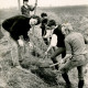 ARH Slg. Bartling 4633, Sechs junge Leute beim Pflanzen von Bäumen am Ackerrain, Mecklenhorst