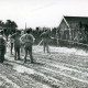 ARH Slg. Bartling 4911, Löscheinsatz der Feuerwehr bei einem Heckenbrand am Friedhof, Scharrel