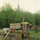ARH Slg. Bürgerbüro 154, Wilder Müll, im Hintergrund die Spitze des Telemax Fernsehturms, Großbuchholz