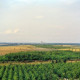 ARH Slg. Bürgerbüro 584, Blick vom Hügel auf die Landschaft, Kronsberg