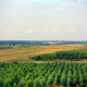 ARH Slg. Bürgerbüro 586, Blick vom Hügel über die Landschaft, Kronsberg