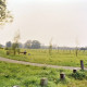 Archiv der Region Hannover, ARH Slg. Bürgerbüro 640, Blick auf die Landschaft am "Laher Kamp“ Ecke "Am Laher Graben", Bothfeld