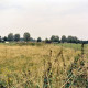 Archiv der Region Hannover, ARH Slg. Bürgerbüro 641, Blick auf eine Weide, im Hintergrund grasende Pferde, Hannover Umgebung