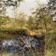 ARH Slg. Bürgerbüro 646, Landschaft beim Altwarmbüchener See, Hannover