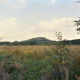 Archiv der Region Hannover, ARH Slg. Bürgerbüro 650, Blick auf die Landschaft und einen Hügel im Gebiet um den Altwarmbüchener See, Hannover