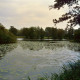 Archiv der Region Hannover, ARH Slg. Bürgerbüro 815, Blick auf einen See, Hannover