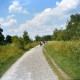 ARH Slg. Bürgerbüro 904, Radtour der Mitglieder des Bürgerbüros für Stadtentwicklung Hannover e. V. auf einem Radweg an der nördlichen Leineaue, Hannover