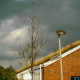 ARH Slg. Bürgerbüro 956, Blick auf einen jungen Baum und grau bewölkten Himmel in der Grasdachsiedlung Laher Wiesen, Ecke In den Seggen, Bothfeld