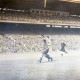 Archiv der Region Hannover, ARH Slg. Fratzer 01-005/00019, Endspiel der Deutschen Meisterschaft 1954 in Hamburg, Hannover 96 gegen Kaiserslautern, Hamburg