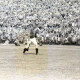 ARH Slg. Fratzer 01-006/00016, Endspiel der Deutschen Meisterschaft 1954 in Hamburg, Hannover 96 gegen Kaiserslautern, Hamburg