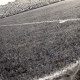 ARH Slg. Fratzer 01-006/00020, Endspiel der Deutschen Meisterschaft 1954 in Hamburg, Hannover 96 gegen Kaiserslautern, Hamburg