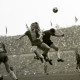 ARH Slg. Fratzer 01-0010/0007, Fußball Bundesliga 1964, Hannover 96 gegen Eintracht Braunschweig, Hannover