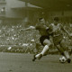 Archiv der Region Hannover, ARH Slg. Fratzer 01-0013/0001, Fußball Bundesliga 1964, Hannover 96 gegen Eintracht Braunschweig, Hannover