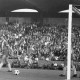 ARH Slg. Fratzer 01-0014/00010, Fußball Bundesliga 1964, Hannover 96 gegen Eintracht Braunschweig, Hannover