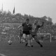ARH Slg. Fratzer 01-0014/00014, Fußball Bundesliga 1964, Hannover 96 gegen Eintracht Braunschweig, Hannover