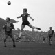 Archiv der Region Hannover, ARH Slg. Fratzer 01-0014/00019, Fußball Bundesliga 1964, Hannover 96 gegen Eintracht Braunschweig, Hannover