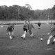 Archiv der Region Hannover, ARH Slg. Fratzer 01-0016/0007, Hannover 96 gegen Arminias Traditionsmannschaft 1964, Hannover