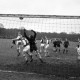 Archiv der Region Hannover, ARH Slg. Fratzer 01-0019/0001, Hannover 96 gegen VFR Neumünster