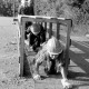 ARH Slg. Weber 02-004/0009, Mitglieder der Jugendfeuerwehr kriechen durch einen Brettertunnel