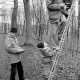 ARH Slg. Weber 02-012/0012, Georg Wallus und N.N. auf einer Leiter bei einer Nisthöhlenkontrolle vom Vogelschutz- und Vogelliebhaberverein Gehrden im Gehrdener Berg 
