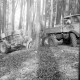 Archiv der Region Hannover, ARH Slg. Weber 02-088/0005, Männer bei Arbeiten mit Fahrzeugen in einem Wald
