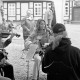 Archiv der Region Hannover, ARH Slg. Weber 02-100/0013, Auftritt einer Streichergruppe auf dem Untergut beim "Tag der offenen Pforte" in Gärten und Parks, Lenthe