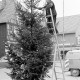 ARH Slg. Weber 02-120/0019, Helmut Jelinek vom städtischen Baubetriebshof bei der Aufstellung eines Weihnachtsbaums auf dem Marktplatz, Gehrden
