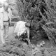 ARH Slg. Weber 02-132/0022, Georg Weber sen. und Helga Görsmann vom Heimatbund Gehrden legen einen Blumenstrauß an den Gräbern des Ehepaars Kageler ab