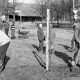 Archiv der Region Hannover, ARH Slg. Weber 02-135/0009, Ortsbürgermeister Karl-Heinz Hohmann (rechts) und weitere Männer bei einer Baumpflanzung in der Dorfmitte von Redderse