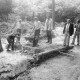 Archiv der Region Hannover, ARH Slg. Weber 02-146/0009, Männer beim Bau eines Weges in einem Wald