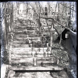 Symbolbild, stellvertretend für Bilder bei denen wir Ihre Hinweise benötigen.