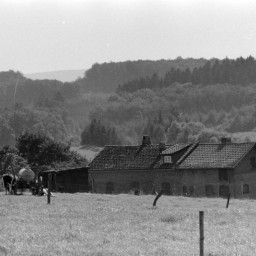 Symbolbild, stellvertretend für Bilder bei denen wir Ihre Hinweise benötigen.