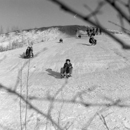 Symbolbild, stellvertretend für Bilder bei denen wir Ihre Hinweise benötigen.