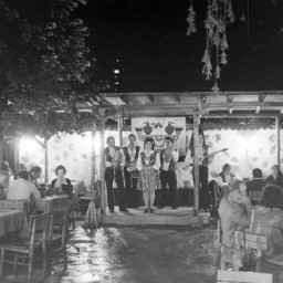 Symbolbild, stellvertretend für Bilder bei denen wir Ihre Hinweise benötigen.