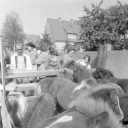 Symbolbild, stellvertretend für Bilder bei denen wir Ihre Hinweise benötigen.