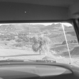 Symbolbild, stellvertretend für Bilder bei denen wir Ihre Hinweise benötigen.