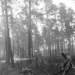 Symbolbild, stellvertretend für Bilder bei denen wir Ihre Hinweise benötigen.