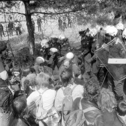 Symbolbild, stellvertretend für Bilder bei denen wir Ihre Hinweise benötigen.