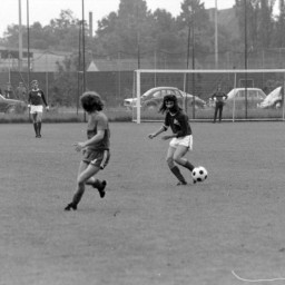 Symbolbild, stellvertretend für Bilder bei denen wir Ihre Hinweise benötigen.