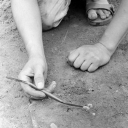 Symbolbild, stellvertretend für Bilder bei denen wir Ihre Hinweise benötigen.