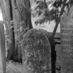 Symbolbild, stellvertretend für Bilder bei denen wir Ihre Hinweise benötigen.