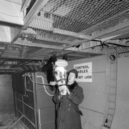 Symbolbild, stellvertretend für Bilder bei denen wir Ihre Hinweise benötigen.