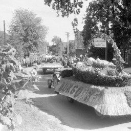 Symbolbild, stellvertretend für Bilder bei denen wir Ihre Hinweise benötigen.