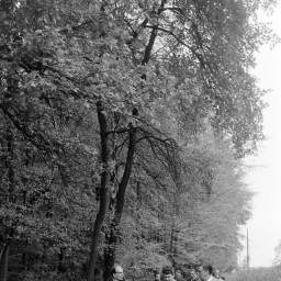 Symbolbild, stellvertretend für Bilder bei denen wir Ihre Hinweise benötigen.