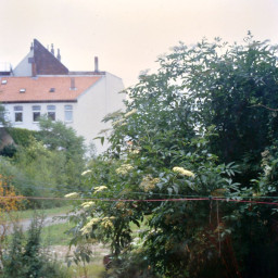 Symbolbild, stellvertretend für Bilder bei denen wir Ihre Hinweise benötigen.