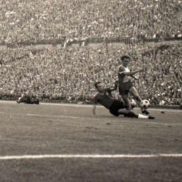 Symbolbild, stellvertretend für Bilder bei denen wir Ihre Hinweise benötigen.