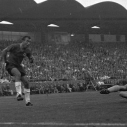 Symbolbild, stellvertretend für Bilder bei denen wir Ihre Hinweise benötigen.