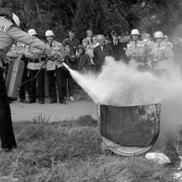 Symbolbild, stellvertretend für Bilder bei denen wir Ihre Hinweise benötigen.